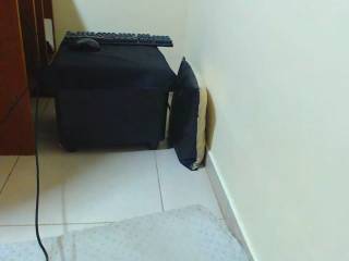 PAMBIGASS