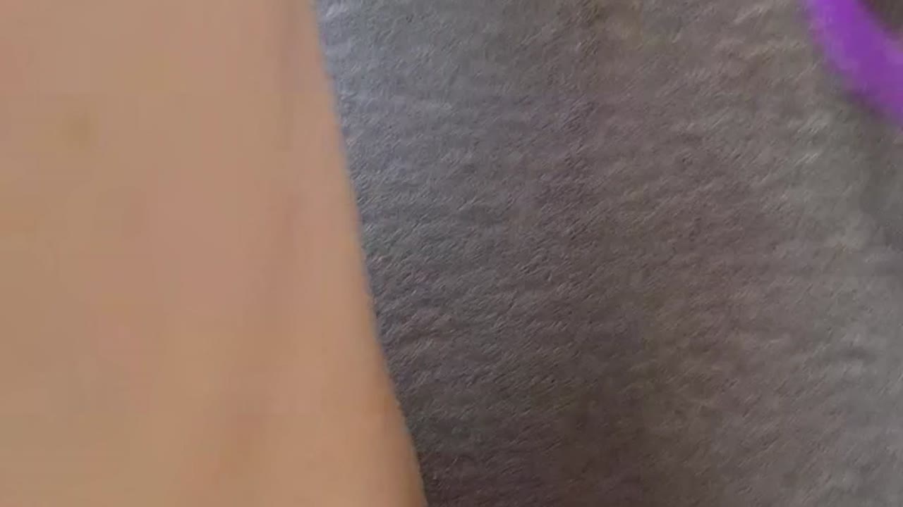 AniaBrat