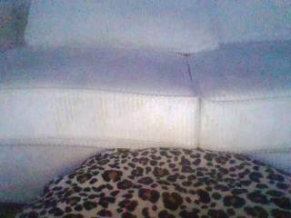 Cataleyaxx