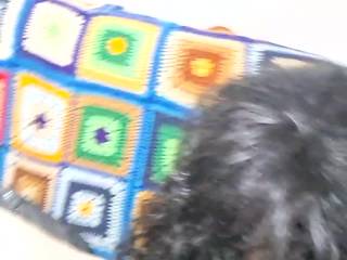 CANDYFLOSSX