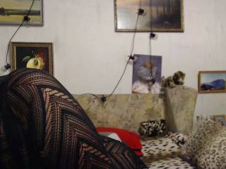 Antuanetta