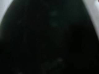 DanielaLuna
