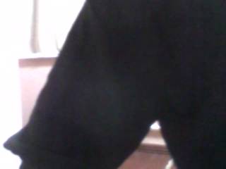 CameliaSweet