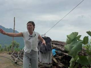 Lindanbeo00