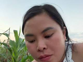 Lindanbeo00