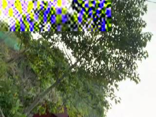 Lindanbeo00