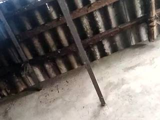 Lindanbeo00