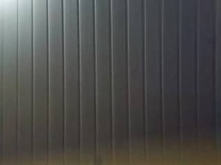Janasouza123