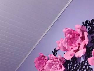 Janasouza123