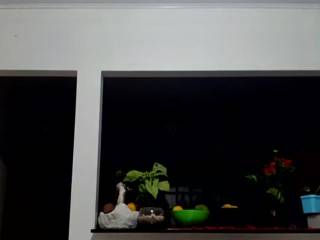 Janasouza123