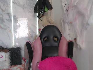 Paulinacox