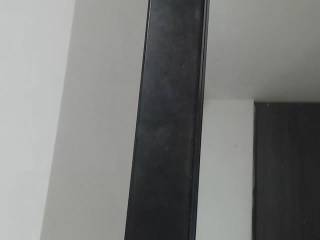 Paulinacox