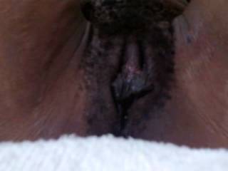 Lngpussylips