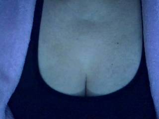 Lauranicola