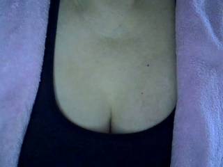 Lauranicola