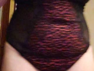 Cougar33