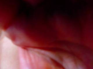 MalvinaX